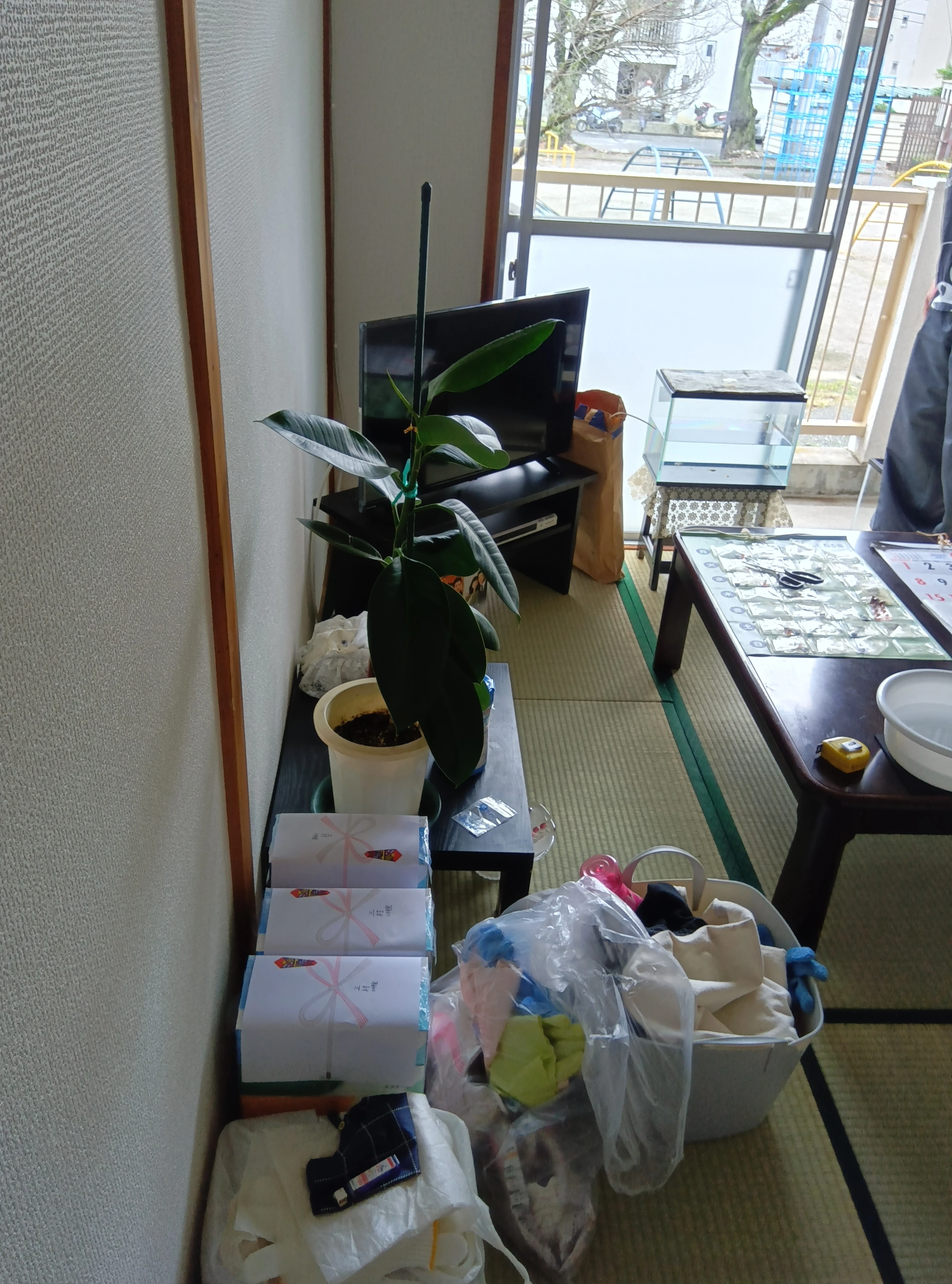不用品処分の手続き簡略化