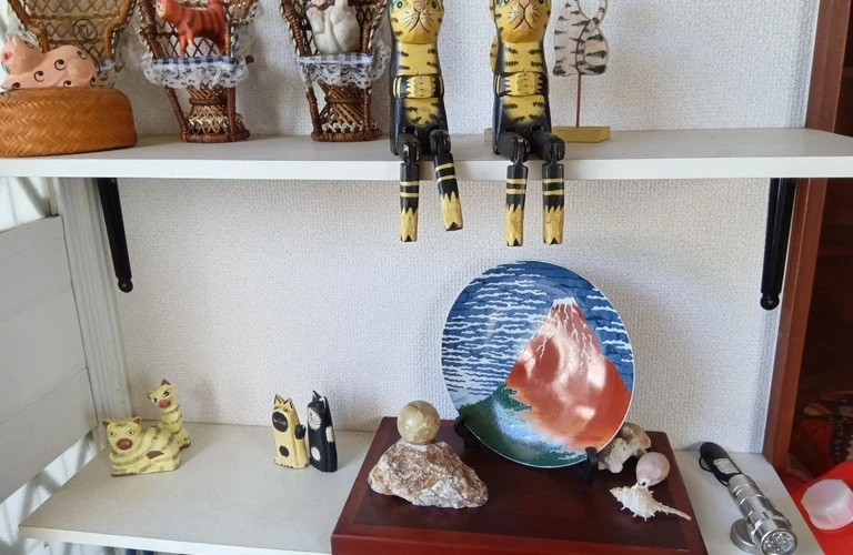 心の整理、未来の安心